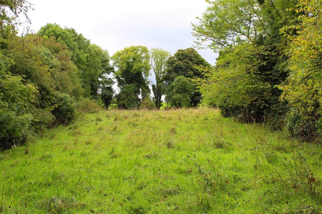 Kildare residential Land for sale