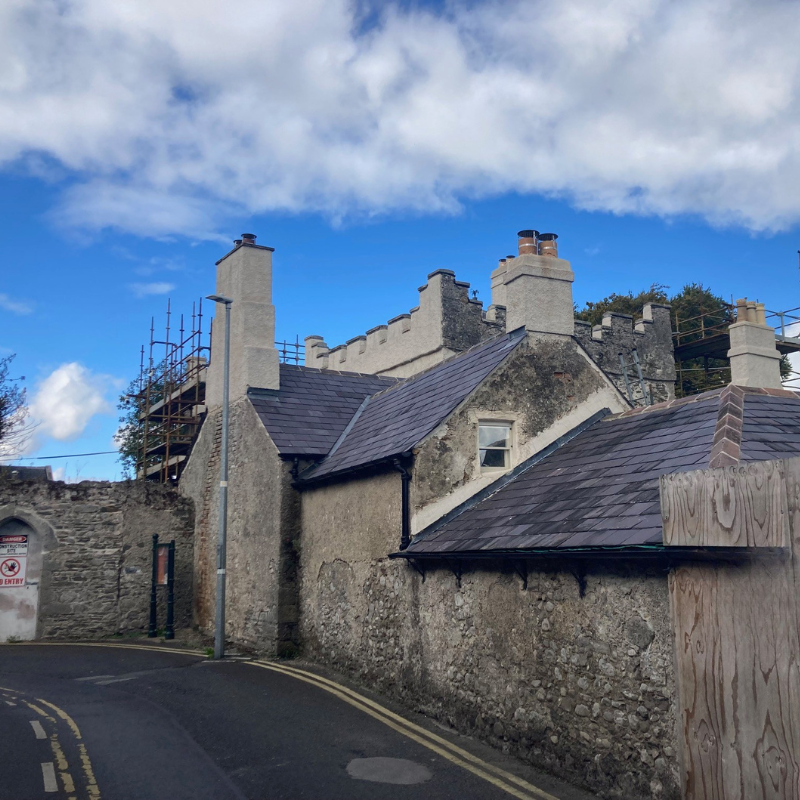 St. David's Castle, Naas